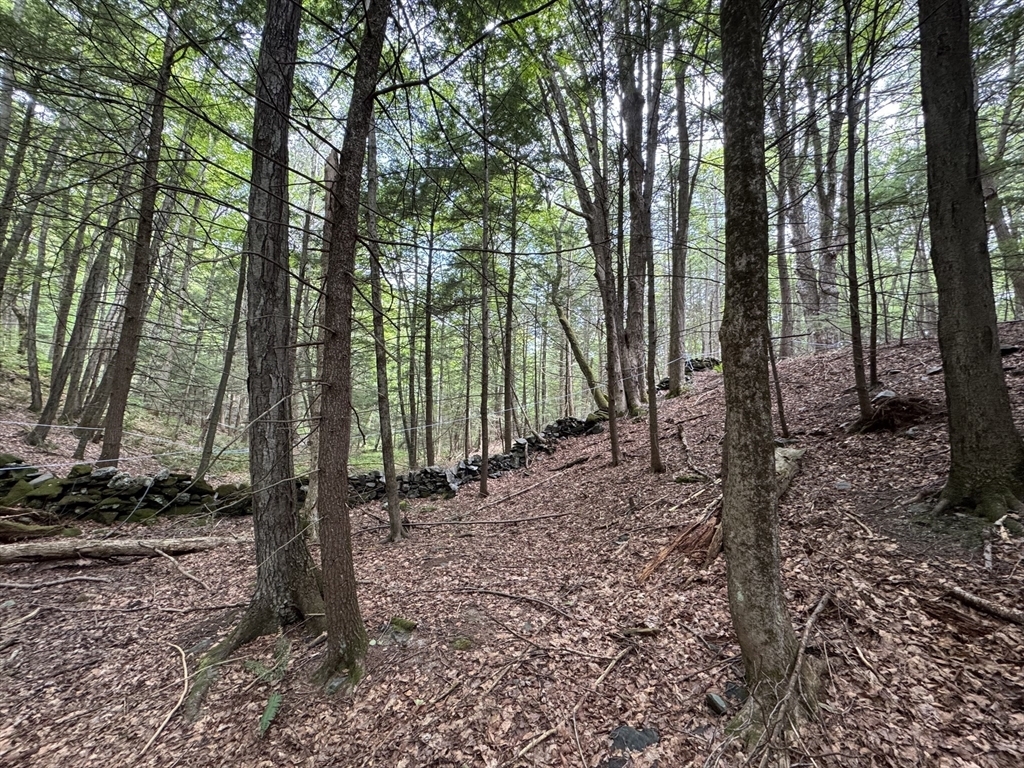 Property Photo: 0 North Street MA 01093