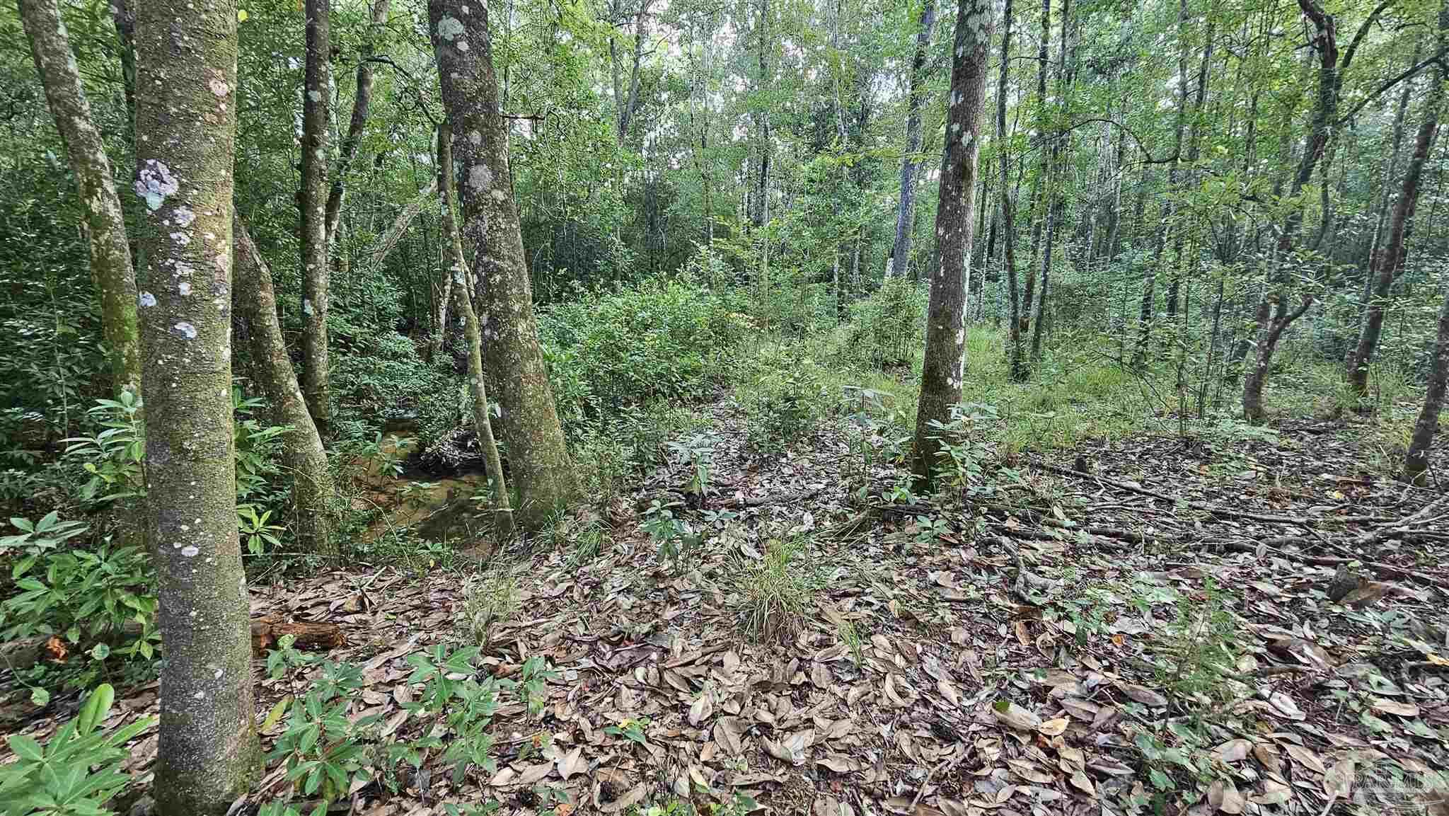 Property Photo: 2561 Creek Chase Trl FL 32571