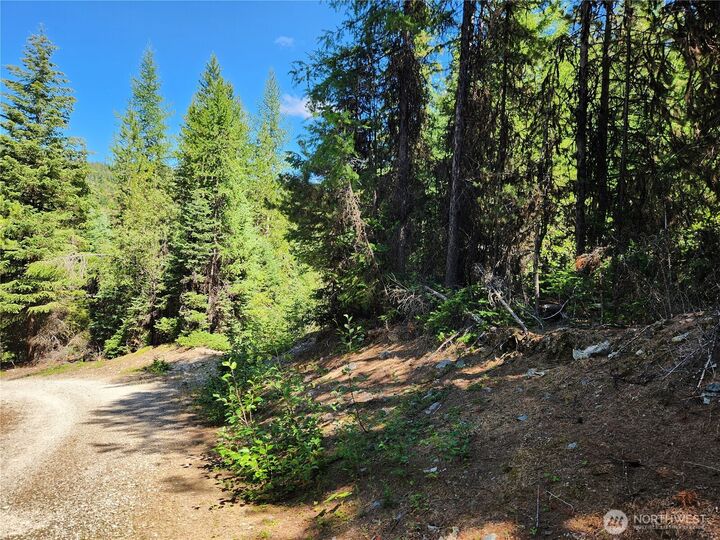 Property Photo: 0 Xx East Fork Cougar Creek Road WA 98859