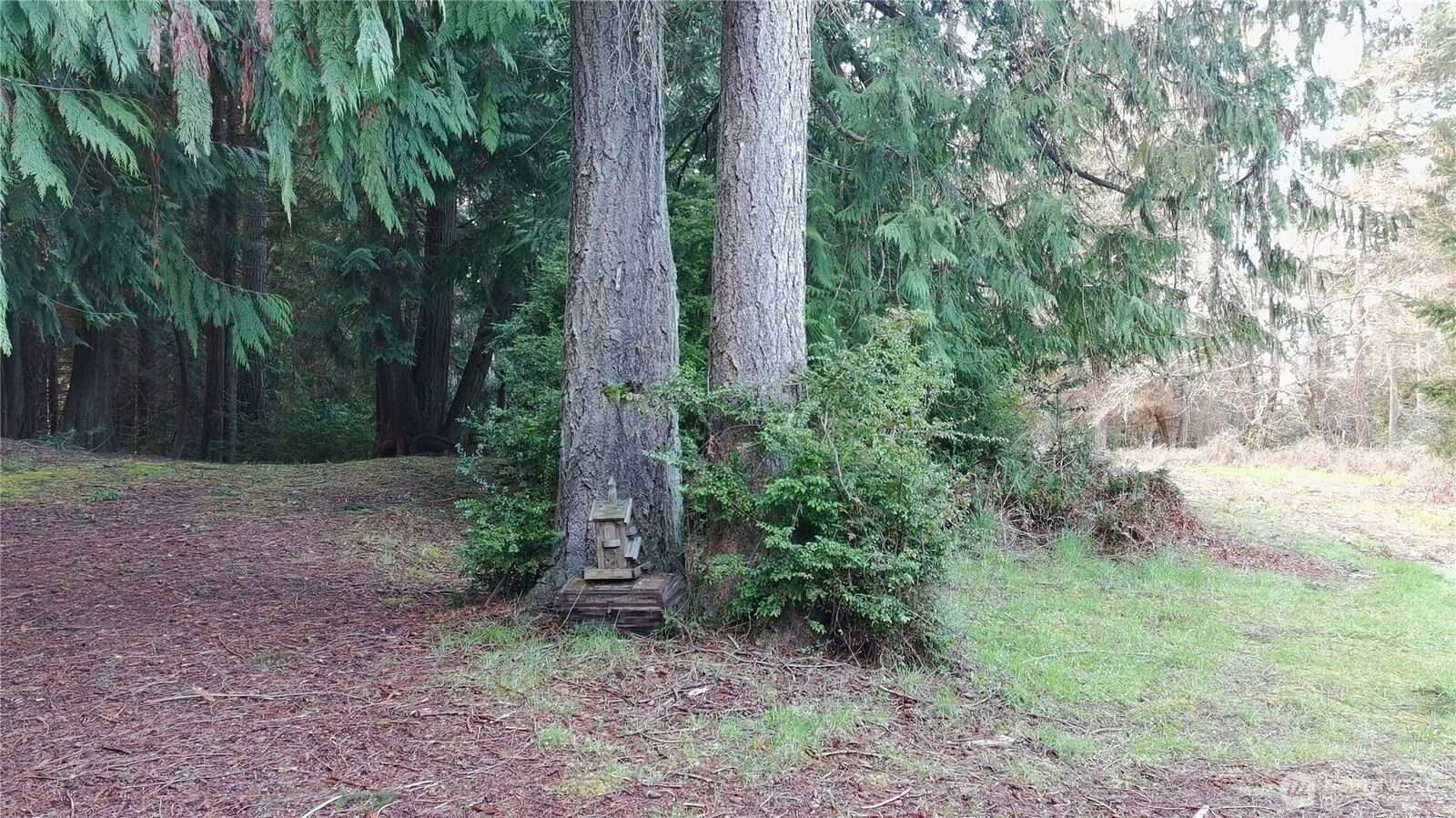 Property Photo: 0 Xxx Sandy Point Road WA 98260