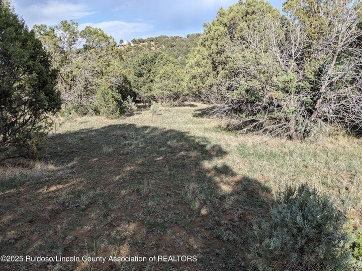 Property Photo:  Lot165-166 Corvo Crista 2  NM 88312 