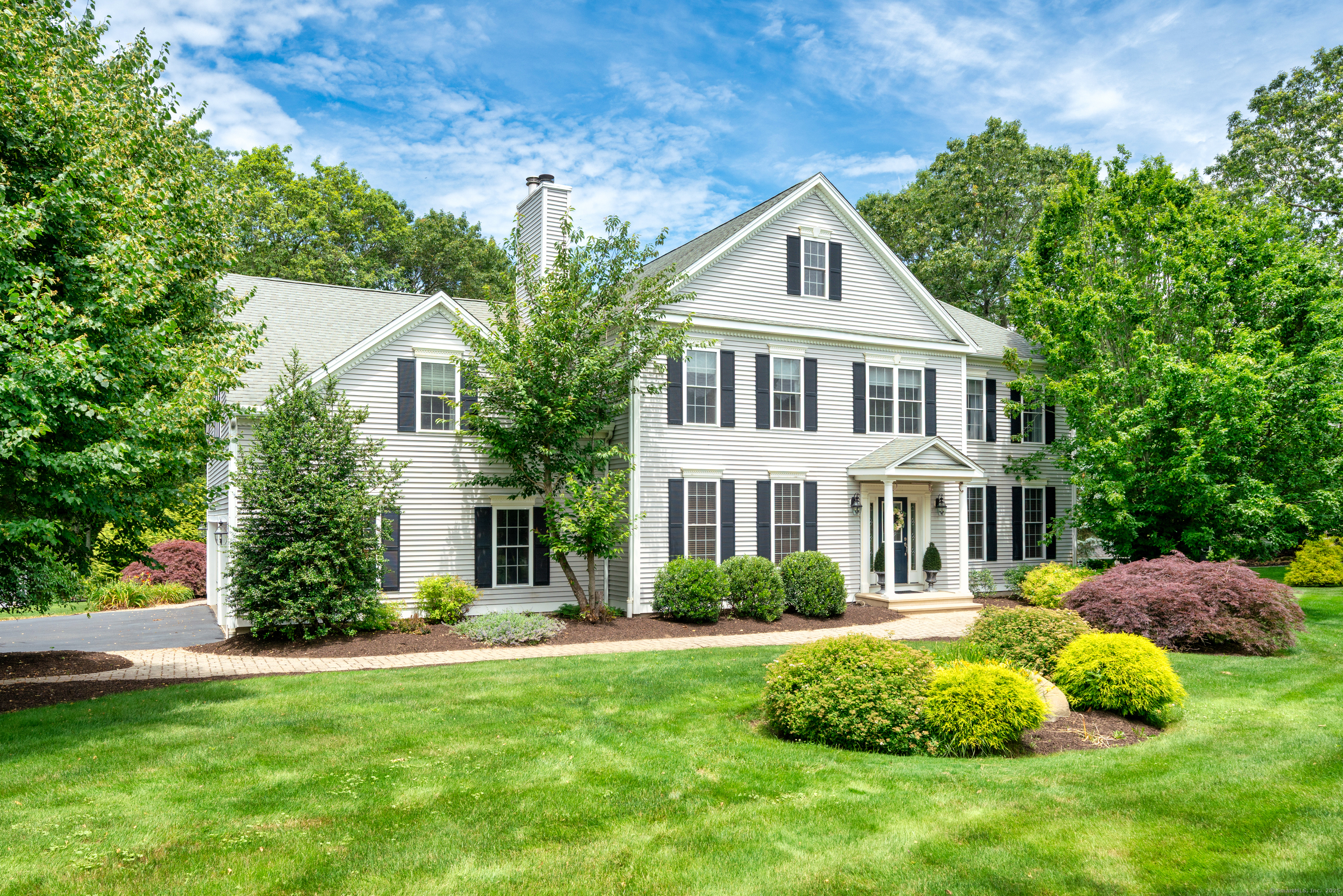 Property Photo:  45 Summersweet Drive  CT 06441 