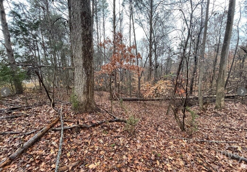 Property Photo:  Lot 851 Nicklaus Road  SC 29693