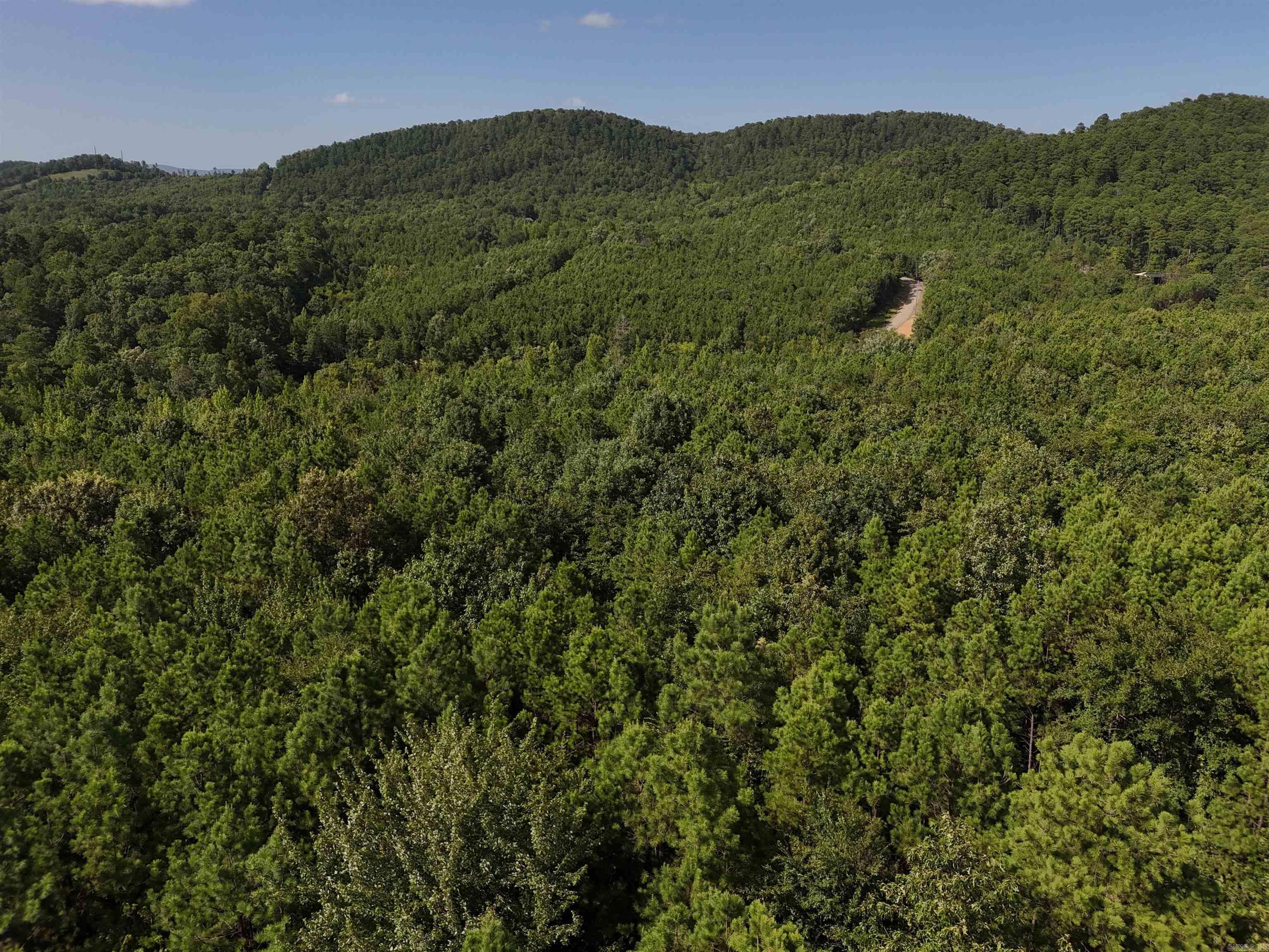 Property Photo:  Lot 10 Polk Road 78  AR 71953 