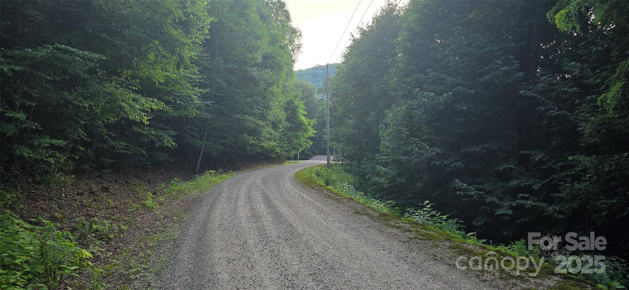 Property Photo: Lot 501 Spellbound Road NC 28785