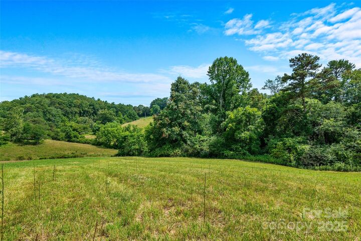 113 &Amp 117 Grandview Ridge Drive  Alexander NC 28701 photo