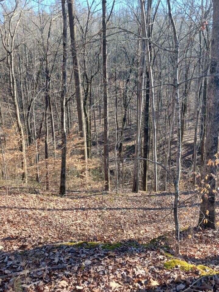 Property Photo:  311 Roberts Mill Road  TN 37343 