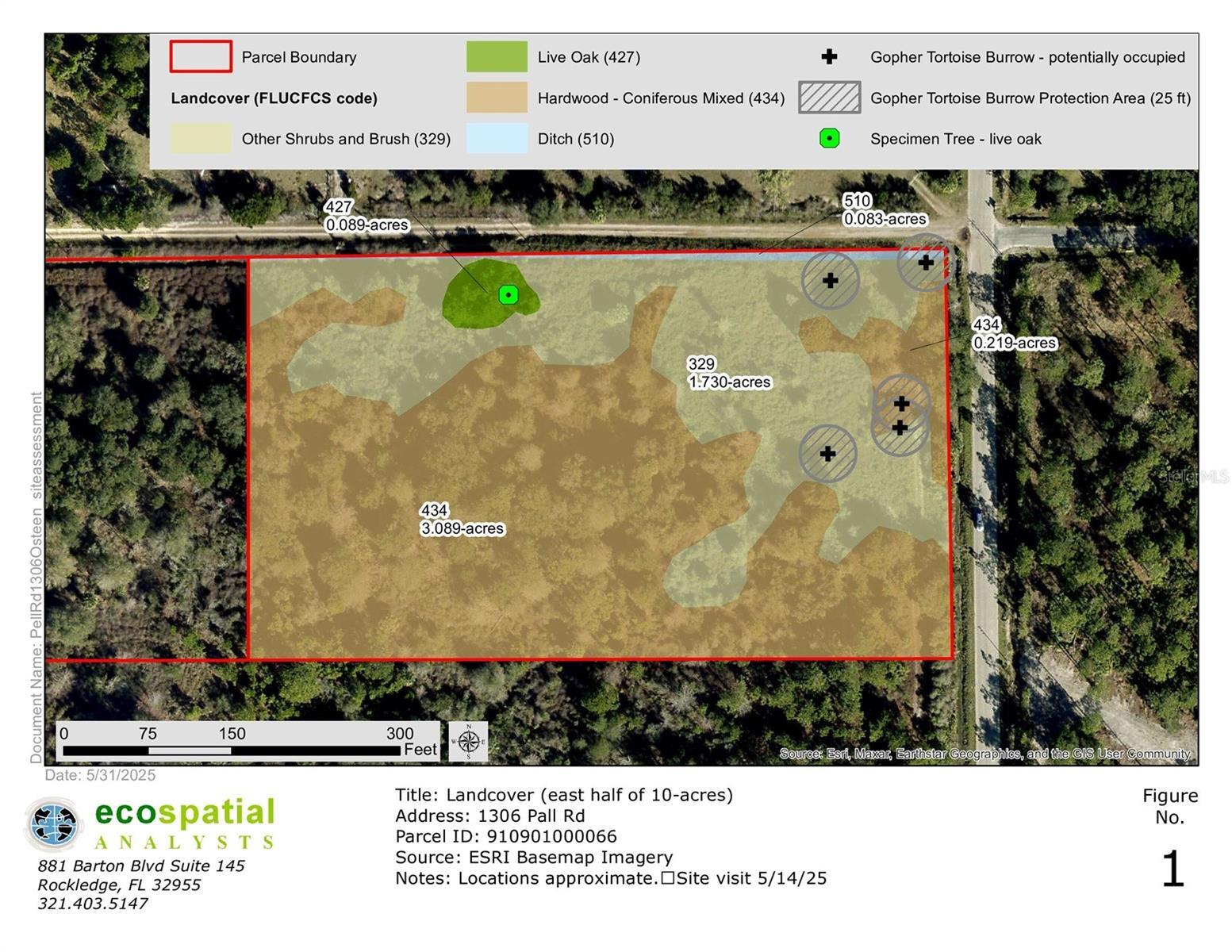Property Photo: 1306 Pell Road FL 32764