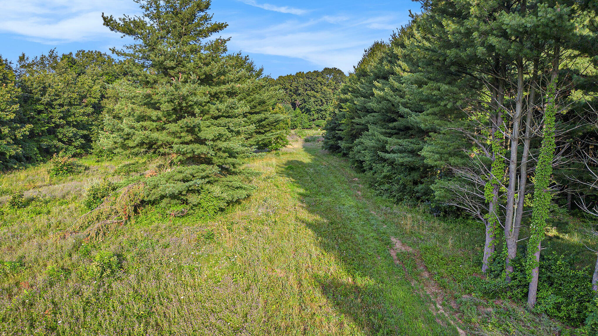 Property Photo: 51244 Leach Road MI 49047