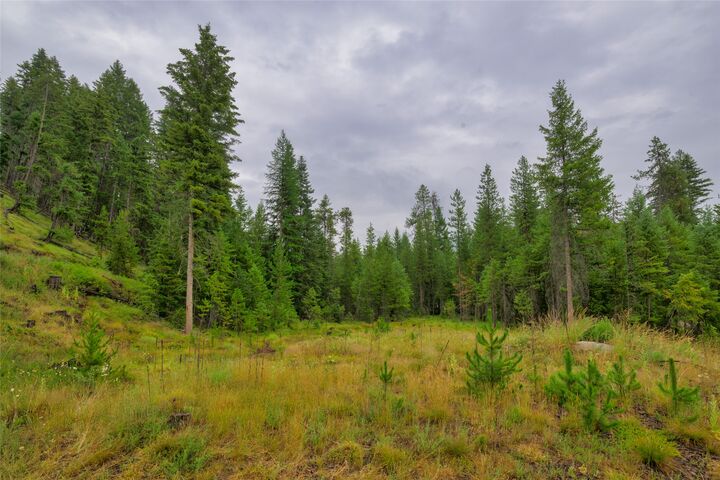 Property Photo: Nhn Cabin City Loop Lot 51 MT 59866