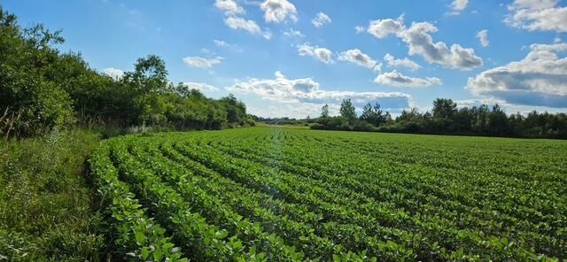 Property Photo:  Xxxx Willow Road NE  MN 56319 