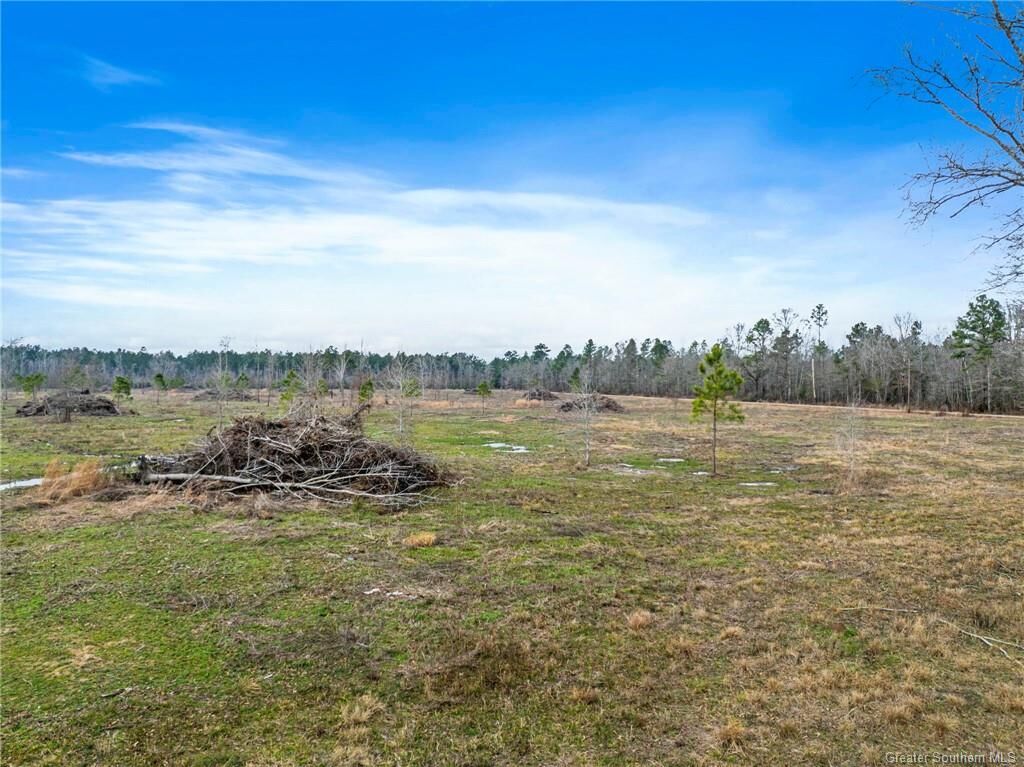 Property Photo:  0 Conway Rosteet Road Tract 2  LA 70657 