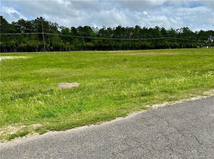 0 Howard Drive  Moss Bluff LA 70611 photo
