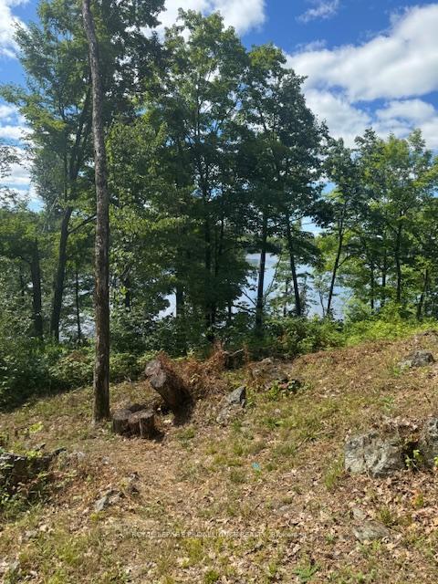 Property Photo: 493 Buttermilk Lane N ON K0K 2M0