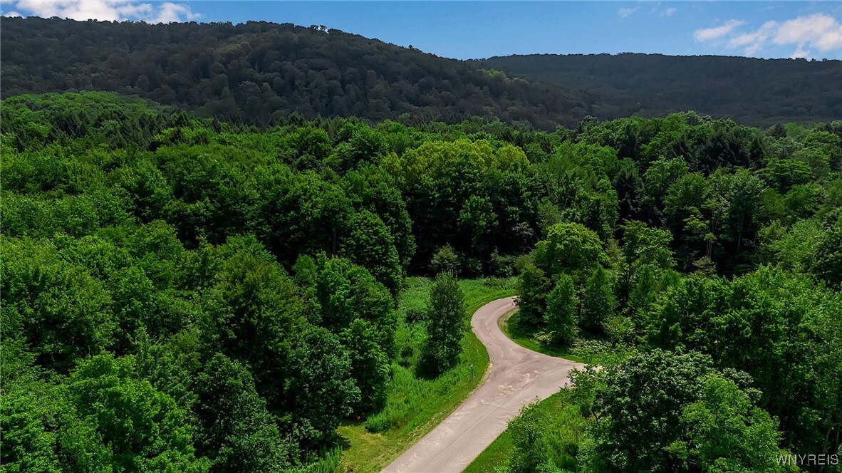 Property Photo:  4456 Courtney Highland Drive  NY 14741 