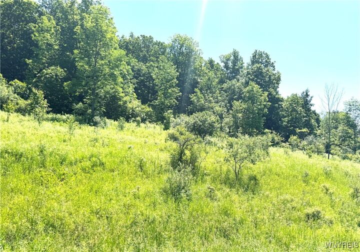 Property Photo: Gile Hollow Road NY 14743