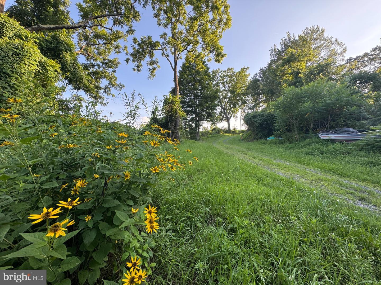 1666 Urban Road  Herndon PA 17830 photo