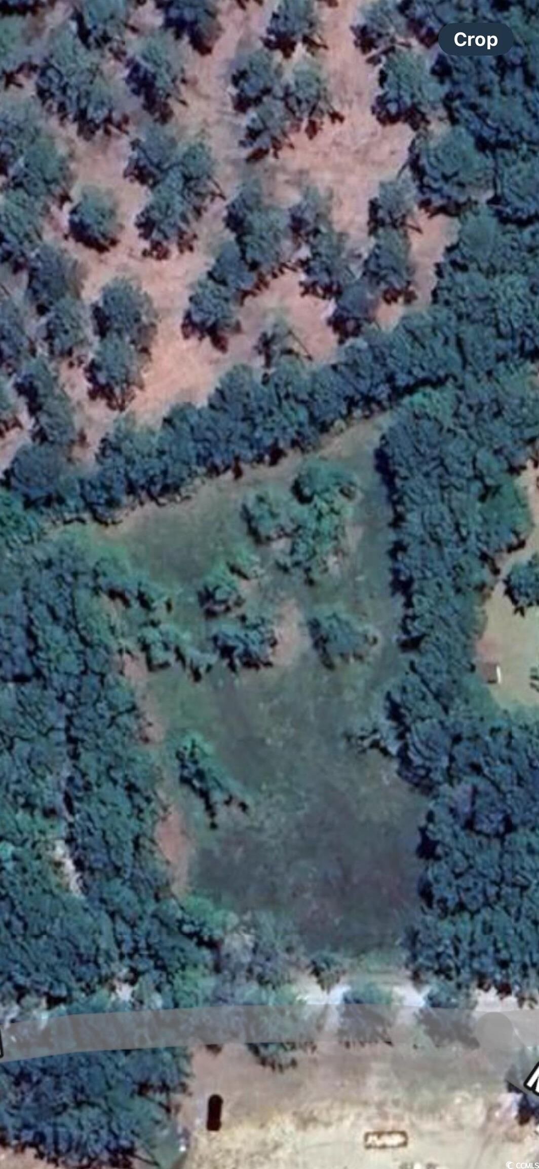 Property Photo:  722 Romain Rd.  SC 29458 