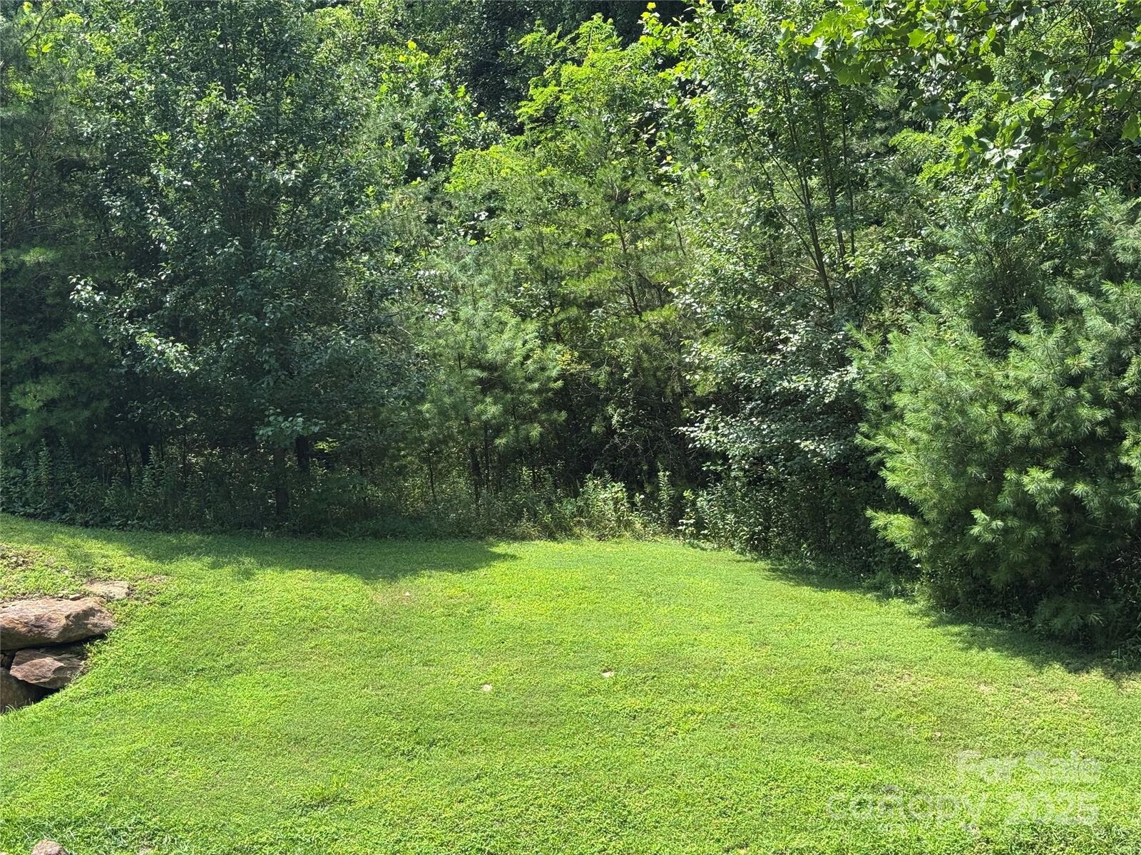 Property Photo: 3 Mountain Magnolia Drive NC 28748