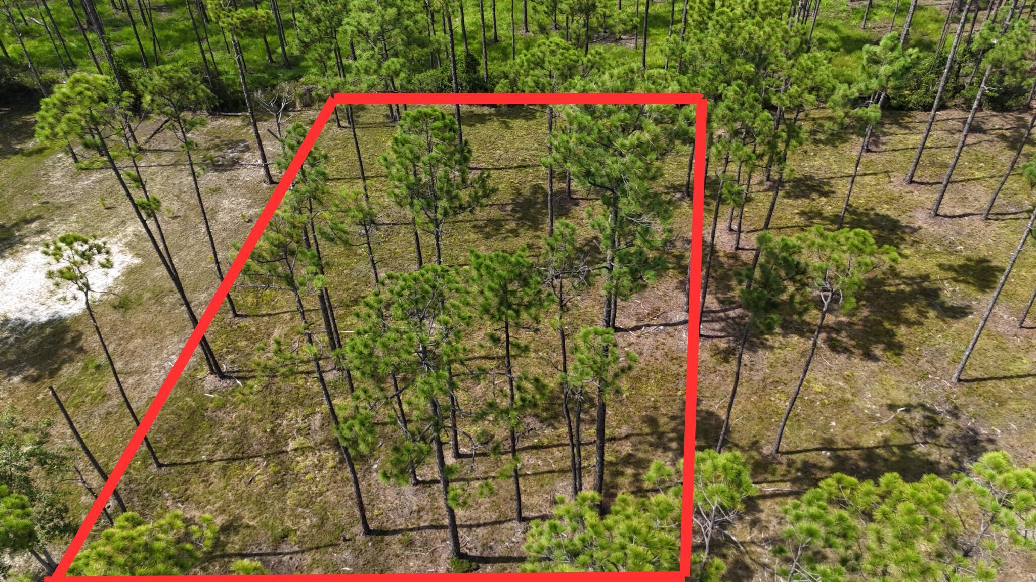 Property Photo:  Lot 5 Foxmire Farm Road  FL 32459 