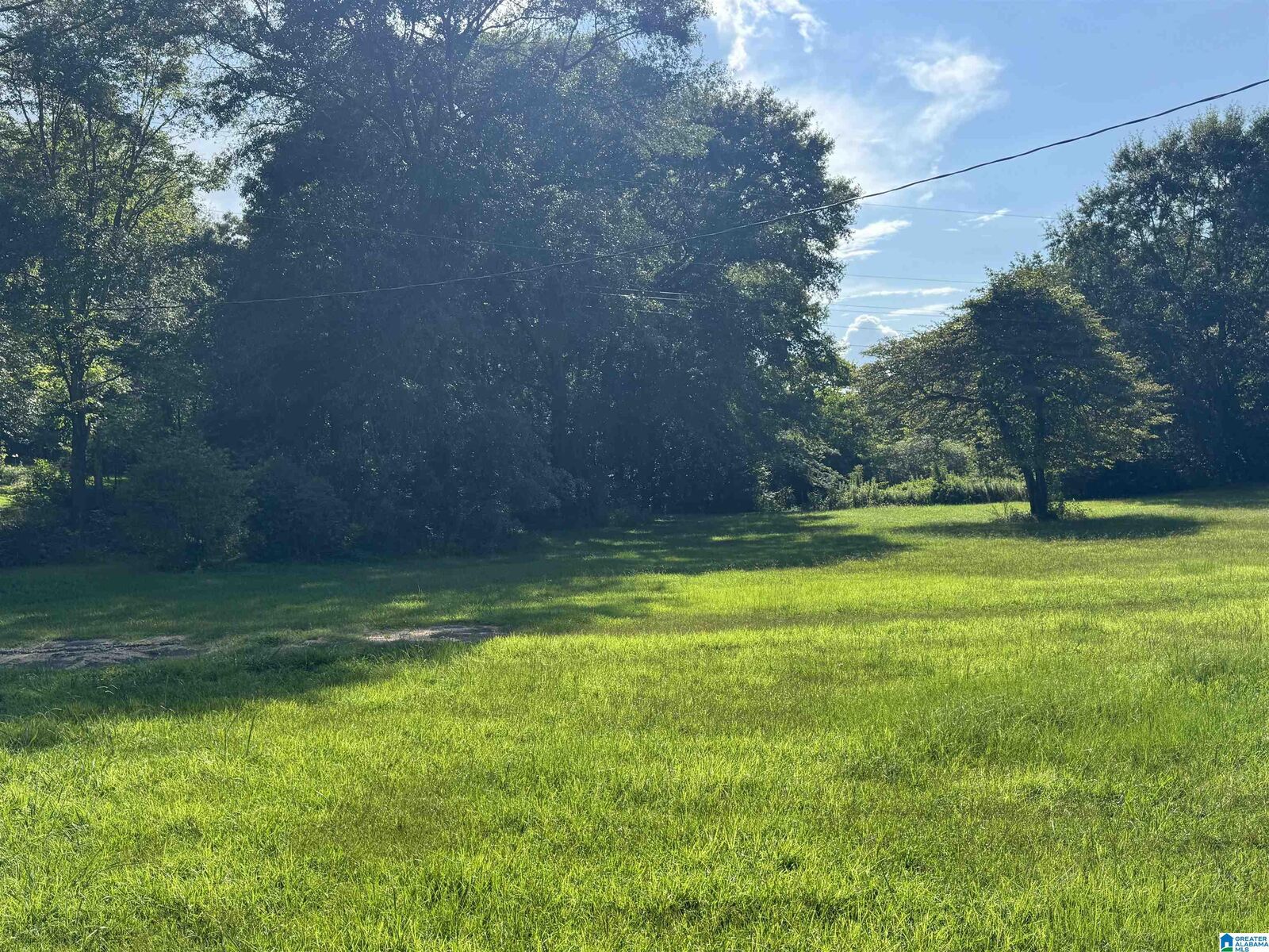 Property Photo: 75 A J Drive AL 36207