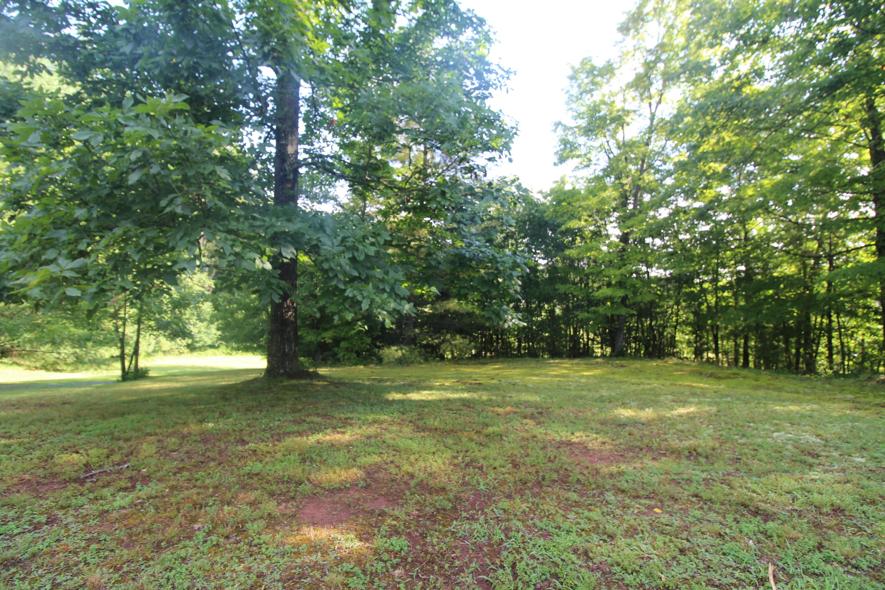 Property Photo:  8157 Moncove Lake Rd  WV 24941 