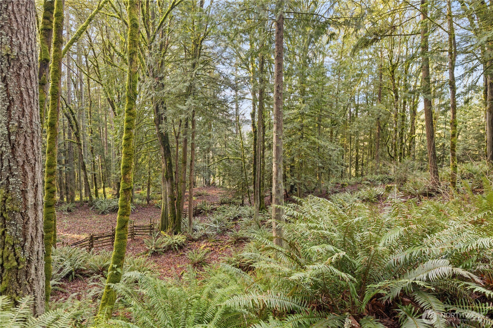 Property Photo: 23827 SE Green Valley Road WA 98092