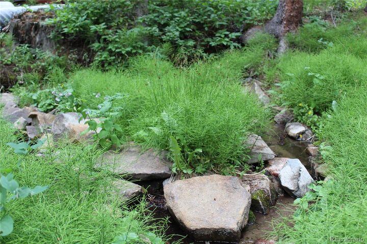 Property Photo:  458 Peterson Drive  CO 80420 