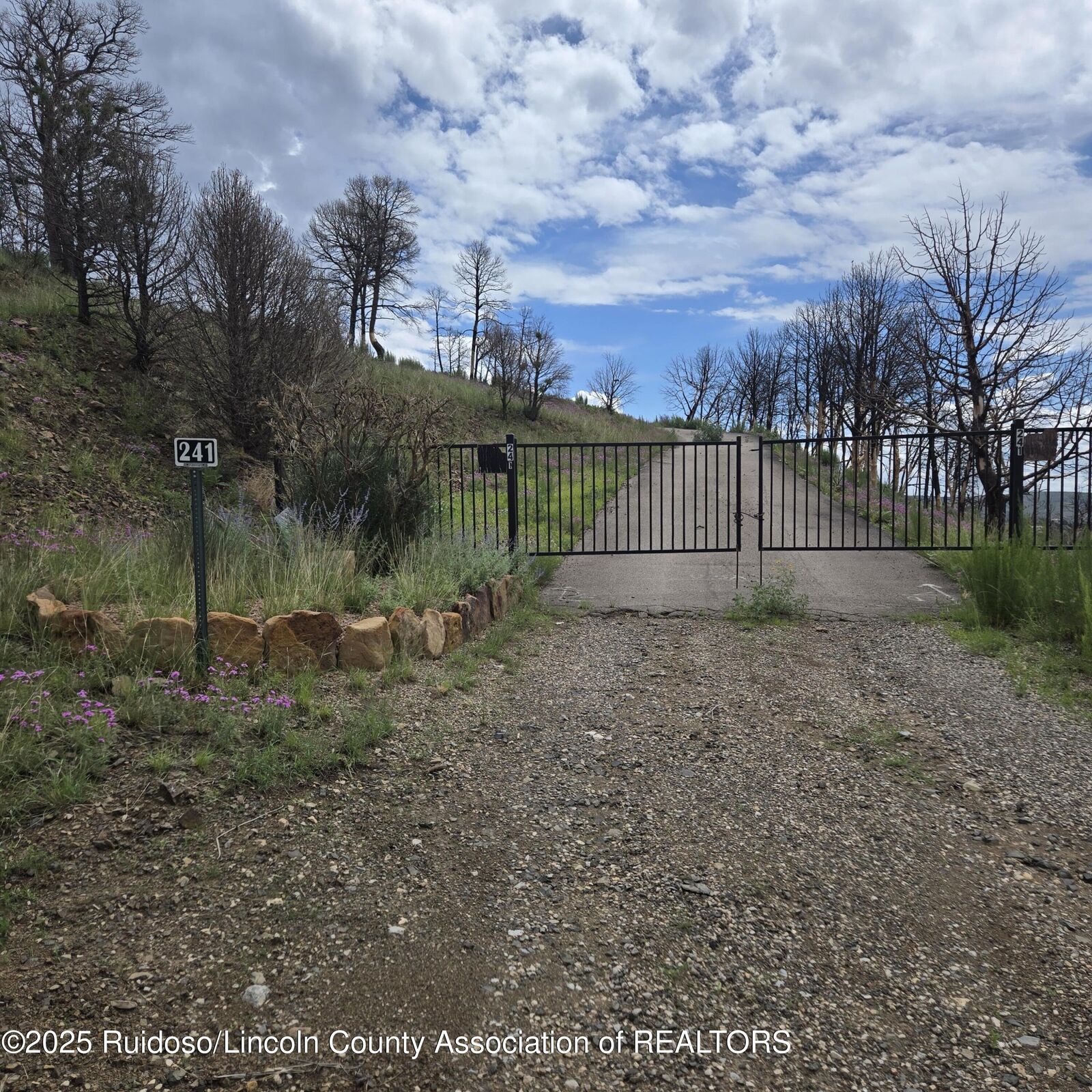 Property Photo:  241 Telluride Trail  NM 88345 