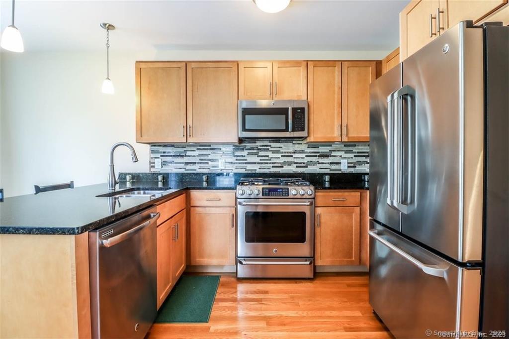 Property Photo:  201 Copper Square Drive 201  CT 06801 