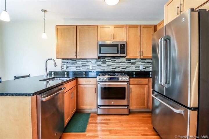 Property Photo:  201 Copper Square Drive 201  CT 06801 
