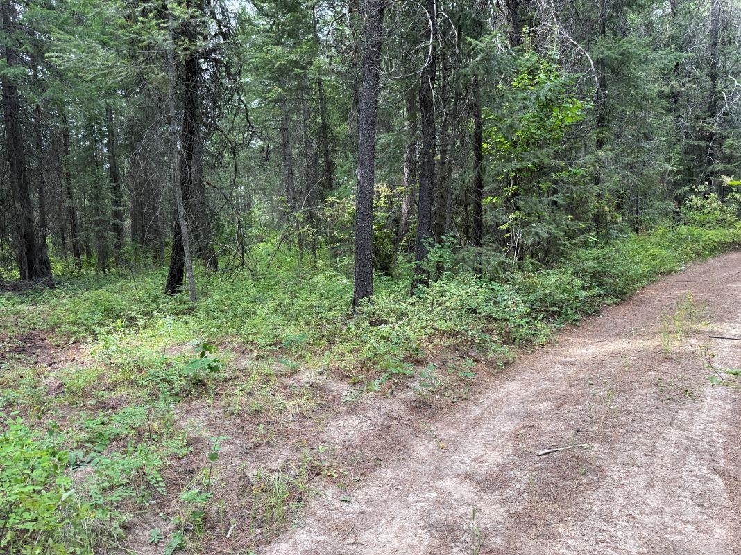 Property Photo: Lot 2 Springdale Hunters Rd WA 99173