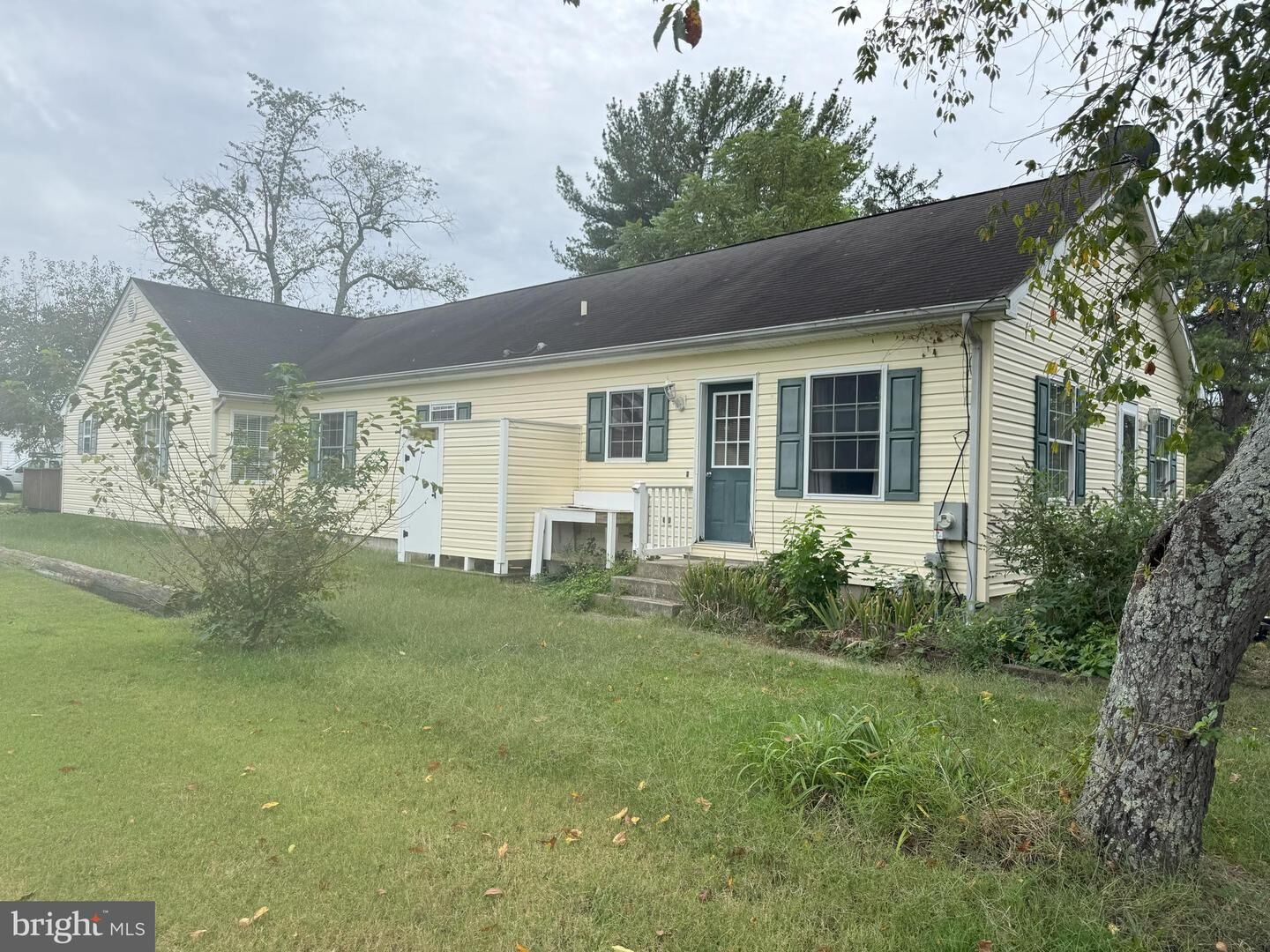 Property Photo:  602 E Laurel Street Extension  DE 19947 