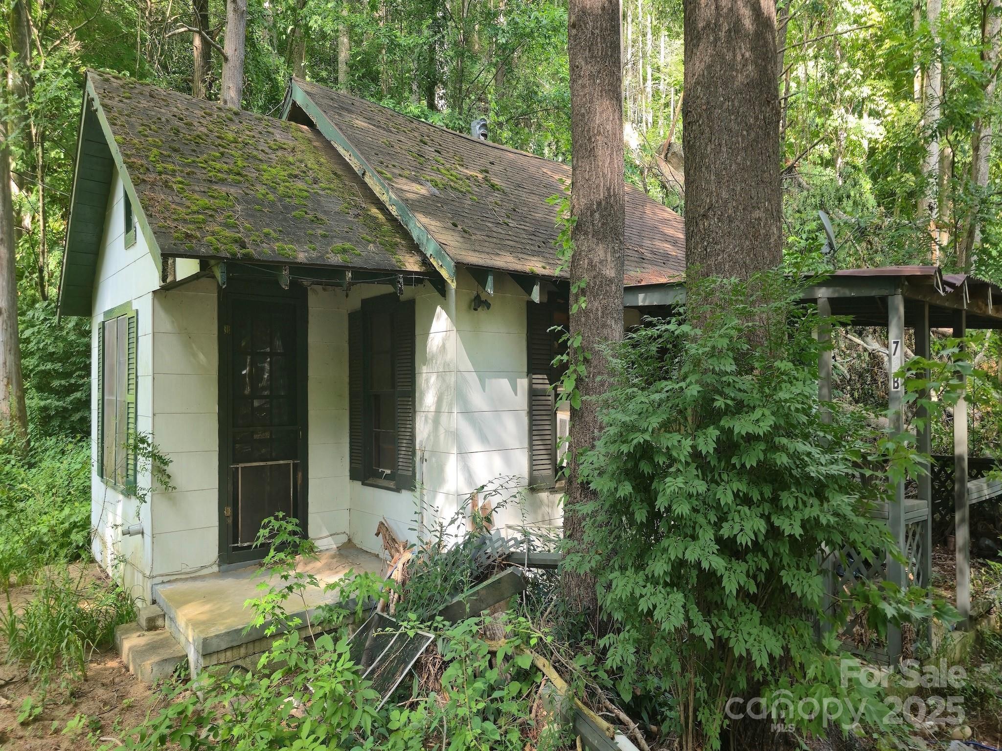 Property Photo: 103 Heart Lane NC 28751