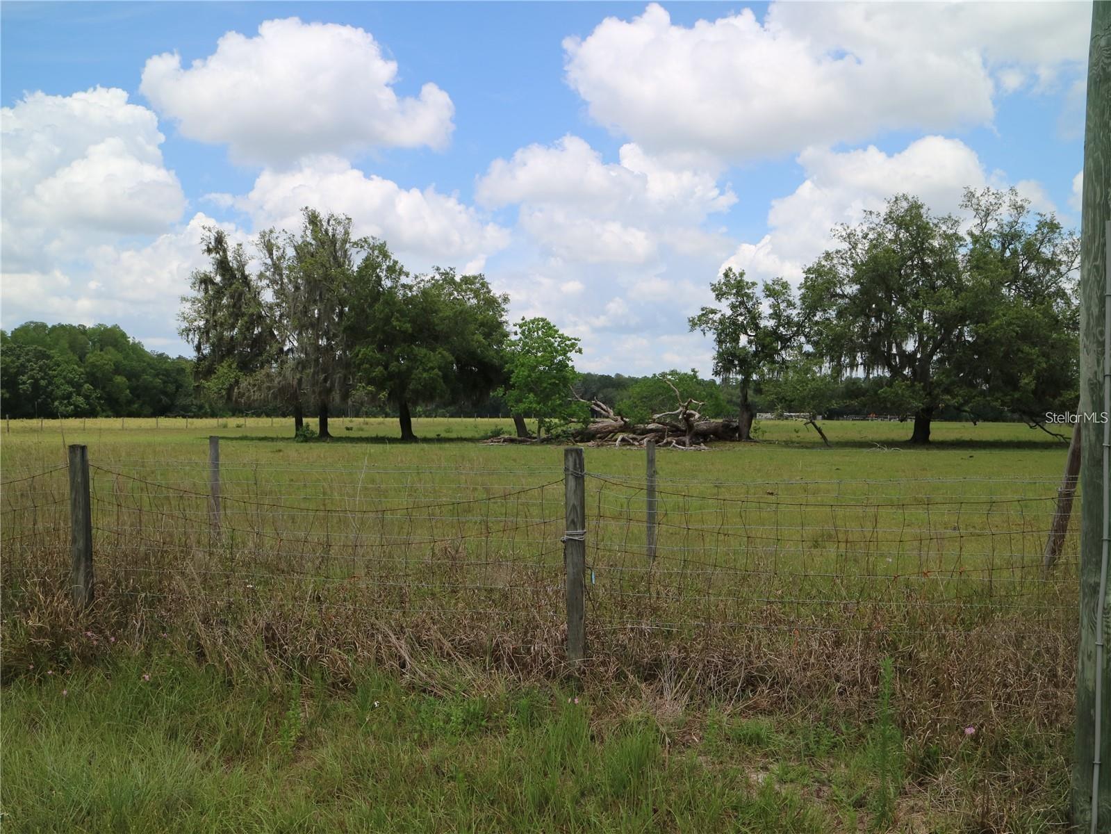 Property Photo:  11819 Tarpon Springs Road  FL 33556 