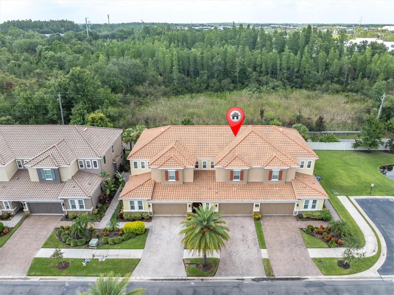 Property Photo: 8703 Terracina Lake Drive FL 33625
