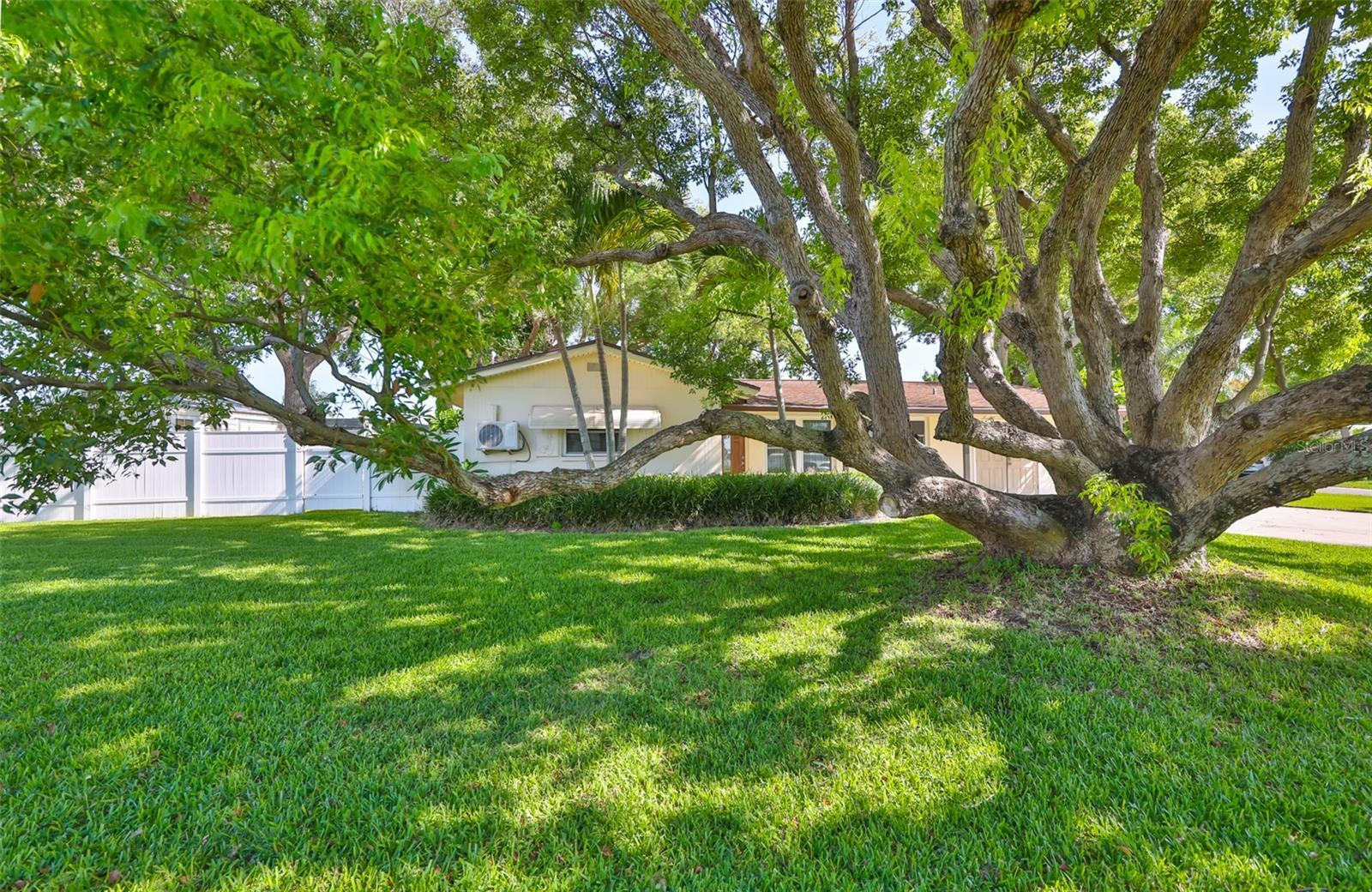 Property Photo: 1511 4th Street SW FL 33770
