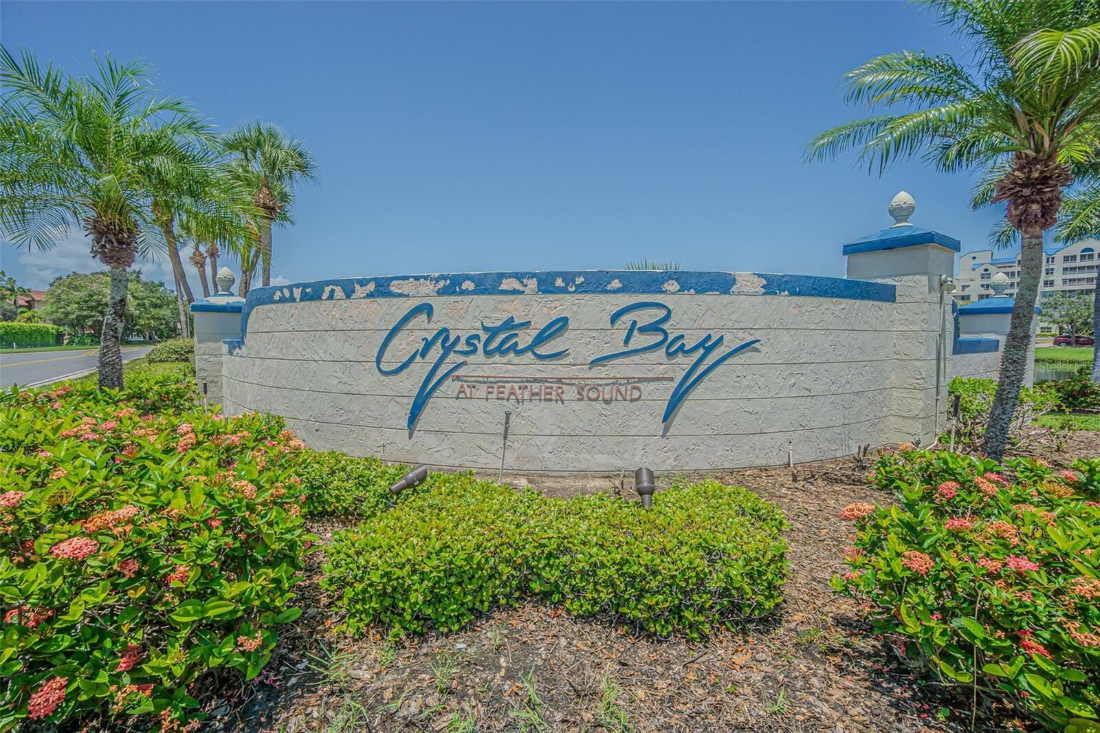 Property Photo: 2333 Feather Sound Drive B607 FL 33762