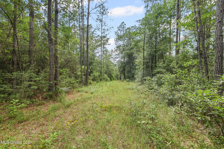 0 Yankee Town Road  Saucier MS 39574 photo