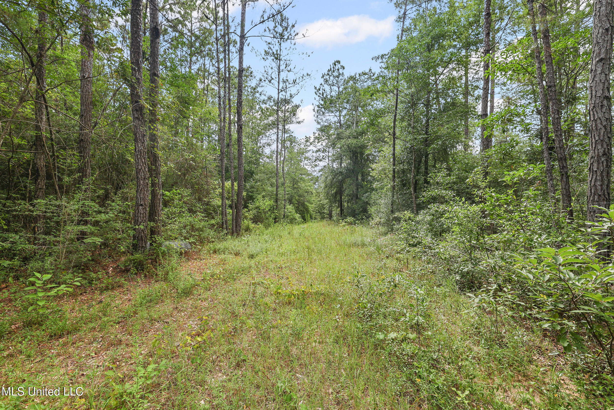 Property Photo: 0 Yankee Town Road MS 39574