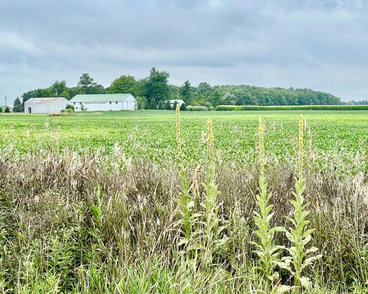 10800 South Road  Waldron MI 49288 photo