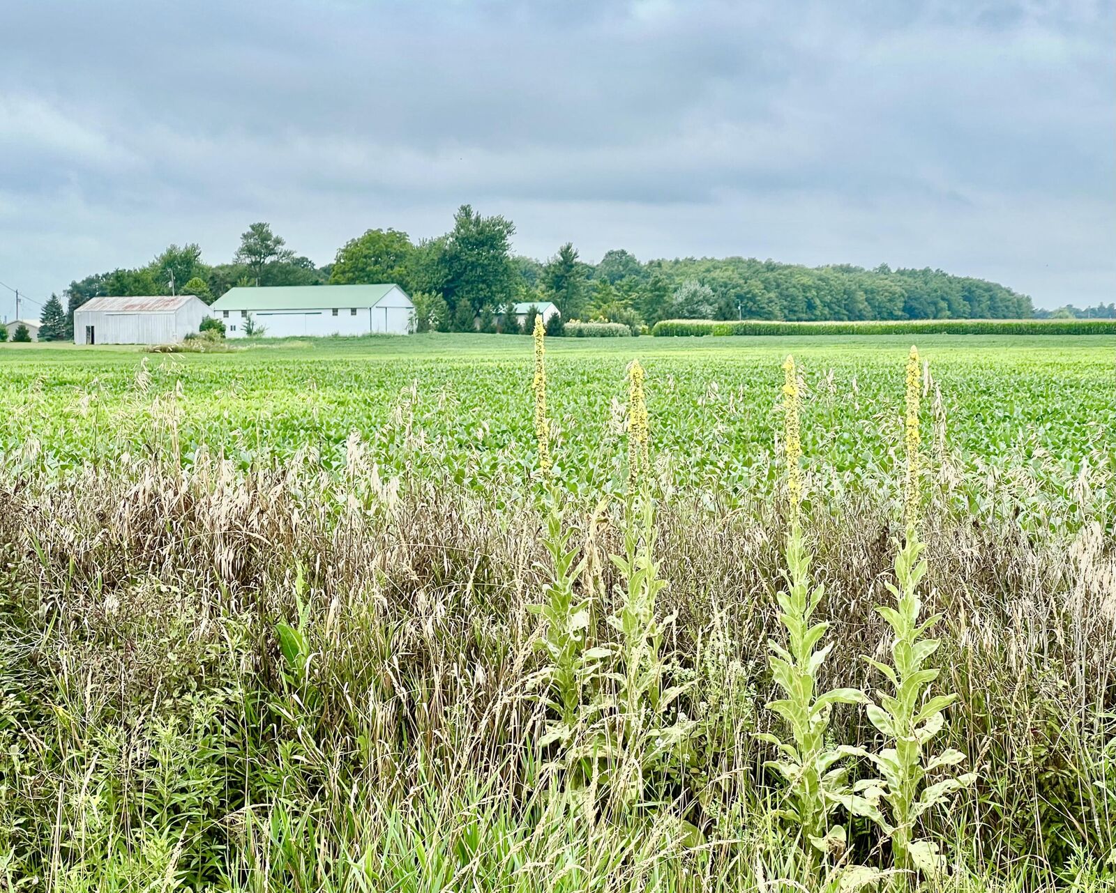 Property Photo: 10800 South Road MI 49288