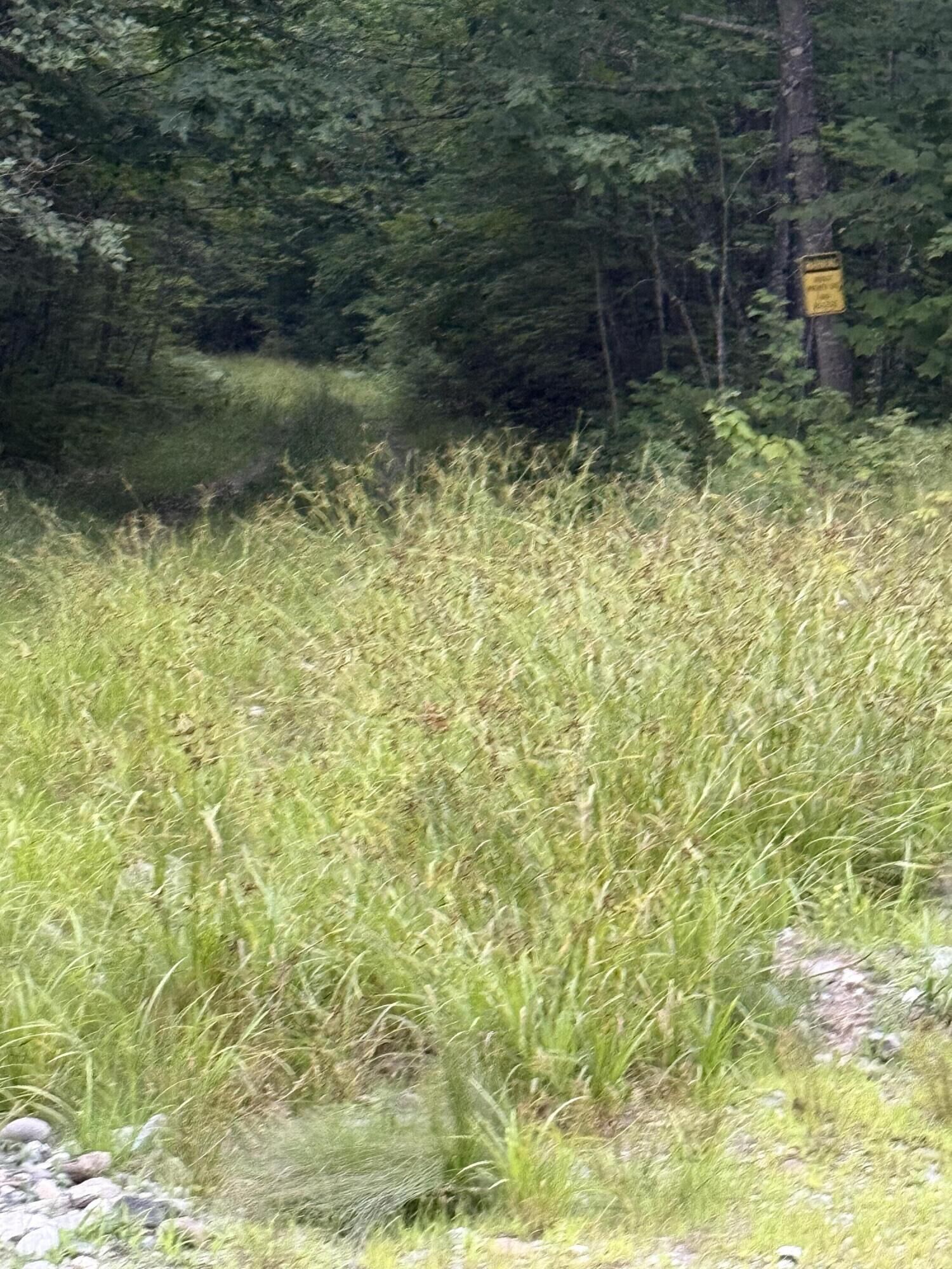 Property Photo: Lot 35 Messer Road ME 04920