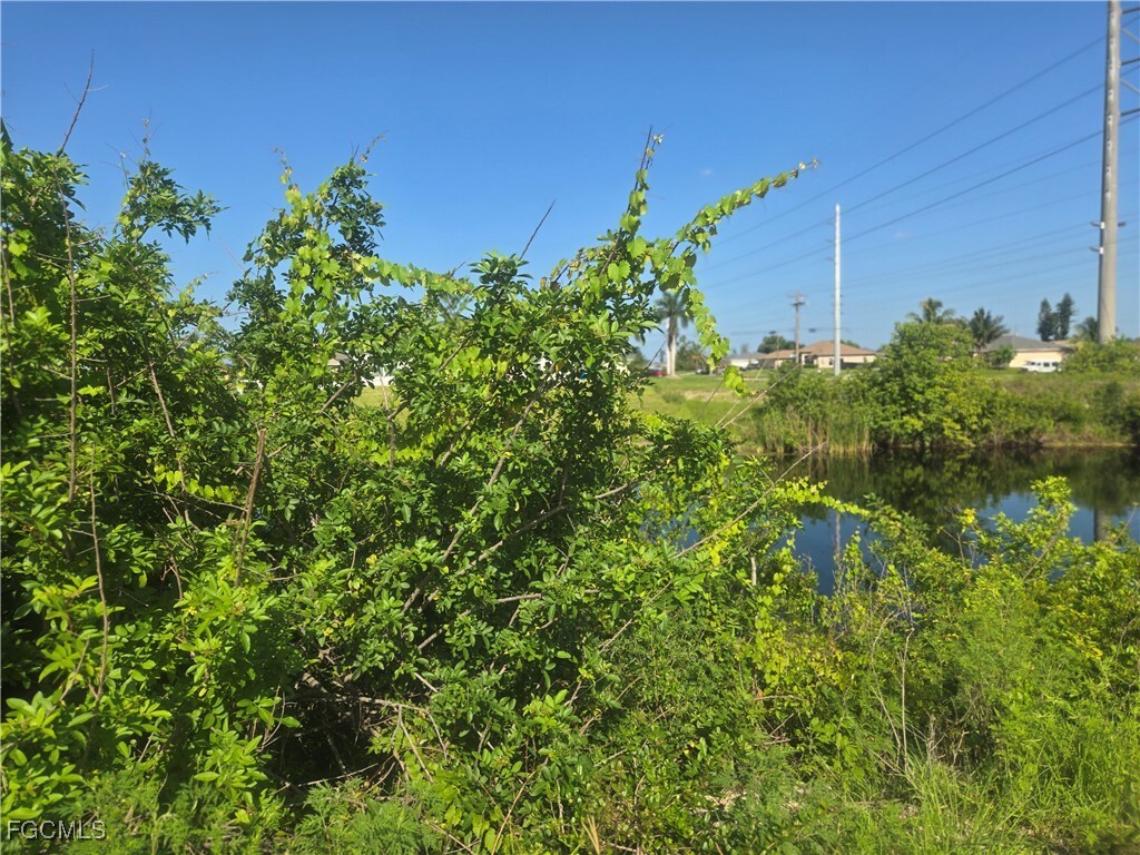 2405 NW 7th Avenue  Cape Coral FL 33993 photo