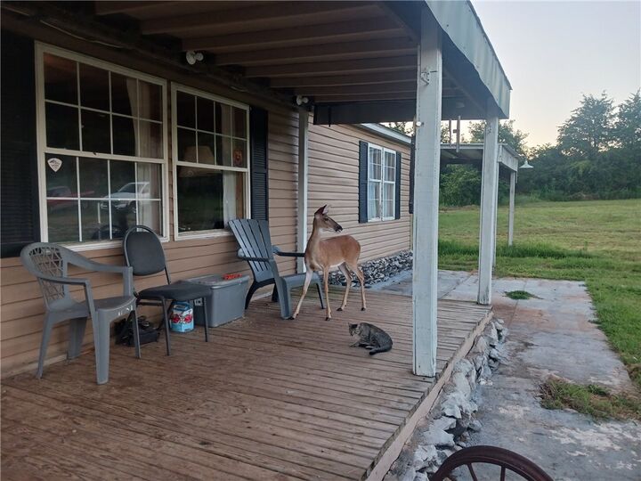 Property Photo:  29629 Hwy 123  AR 72685 