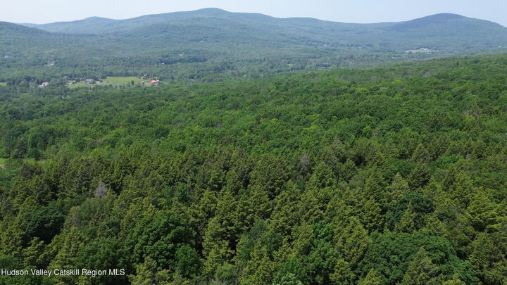 Property Photo:  0 Larsen Dr  NY 12496 