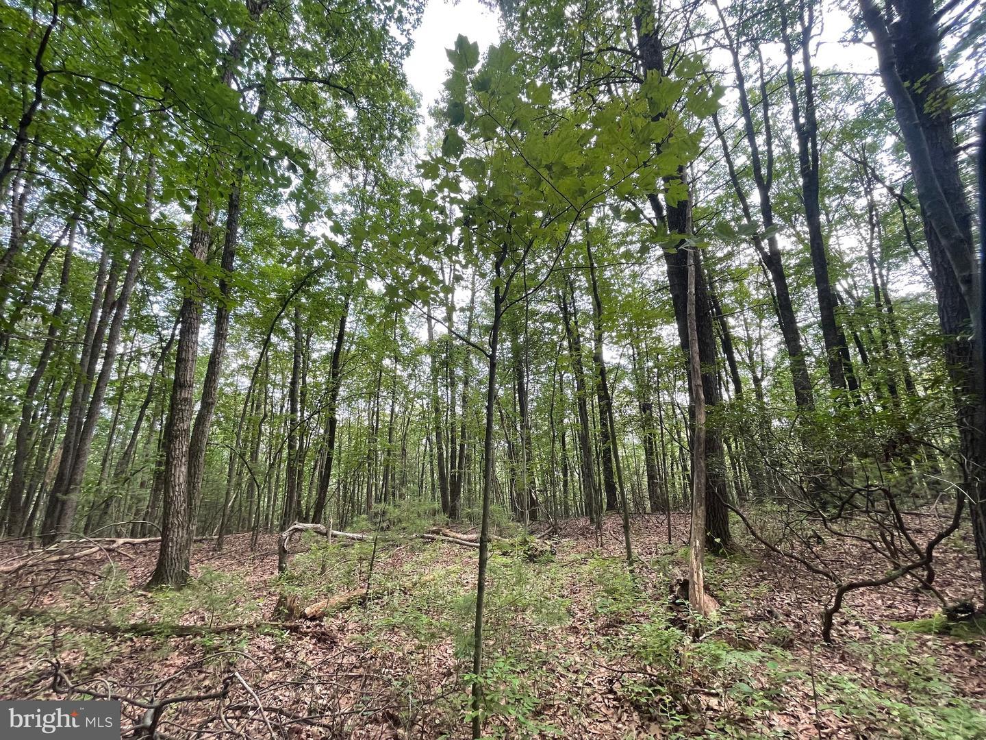 Property Photo: 0 Long Run Road PA 17963