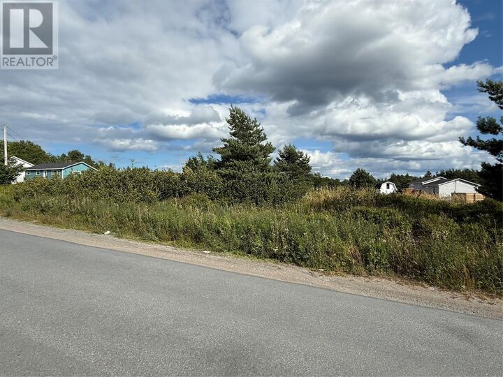14 Neck Road  Bay Roberts NL A0A 1G0 photo
