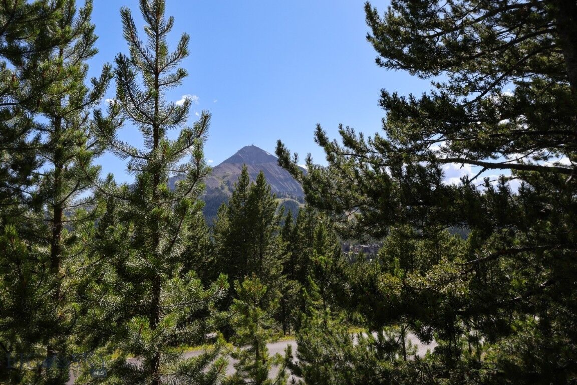 Property Photo: Tbd Beehive Basin Road MT 59716