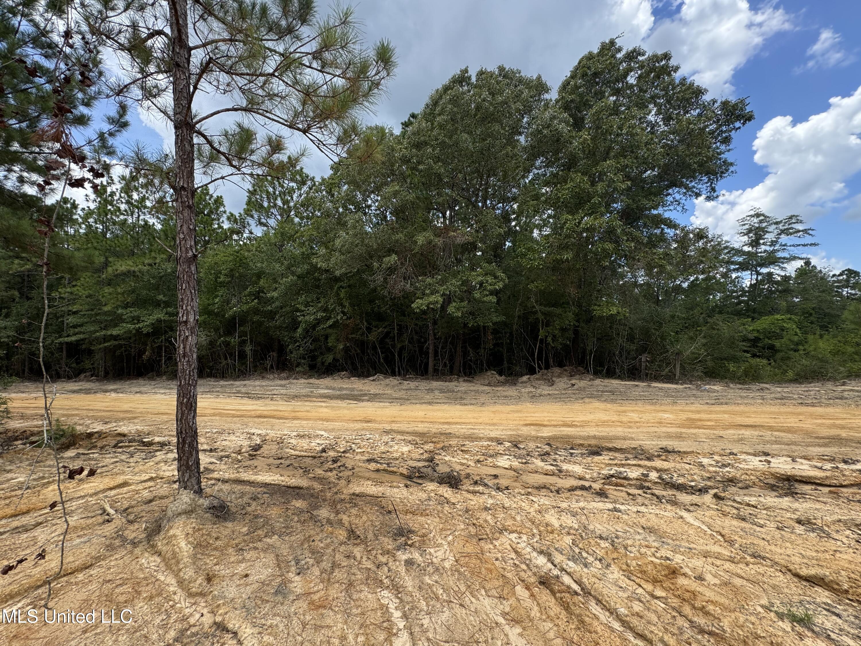 Property Photo: 00 Joshua Road MS 39561